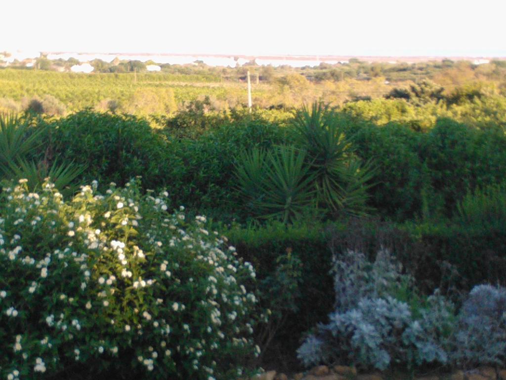 Quinta Da Moura Casa-De-Campo Guest House Тавира Екстериор снимка