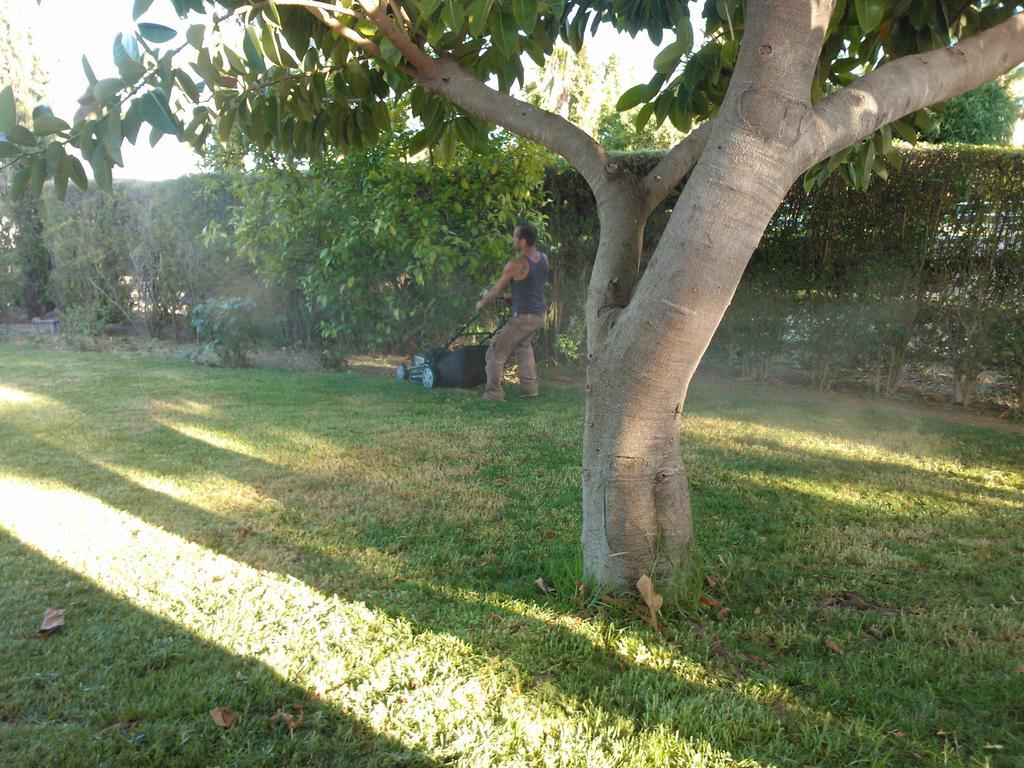 Quinta Da Moura Casa-De-Campo Guest House Тавира Екстериор снимка