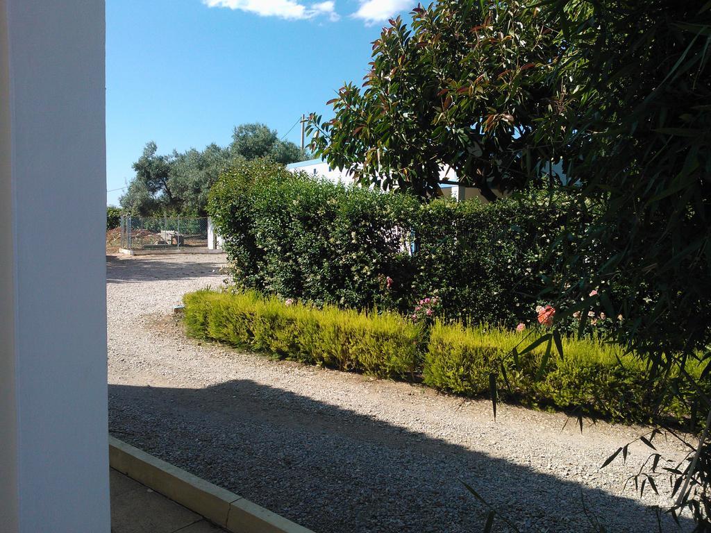 Quinta Da Moura Casa-De-Campo Guest House Тавира Екстериор снимка