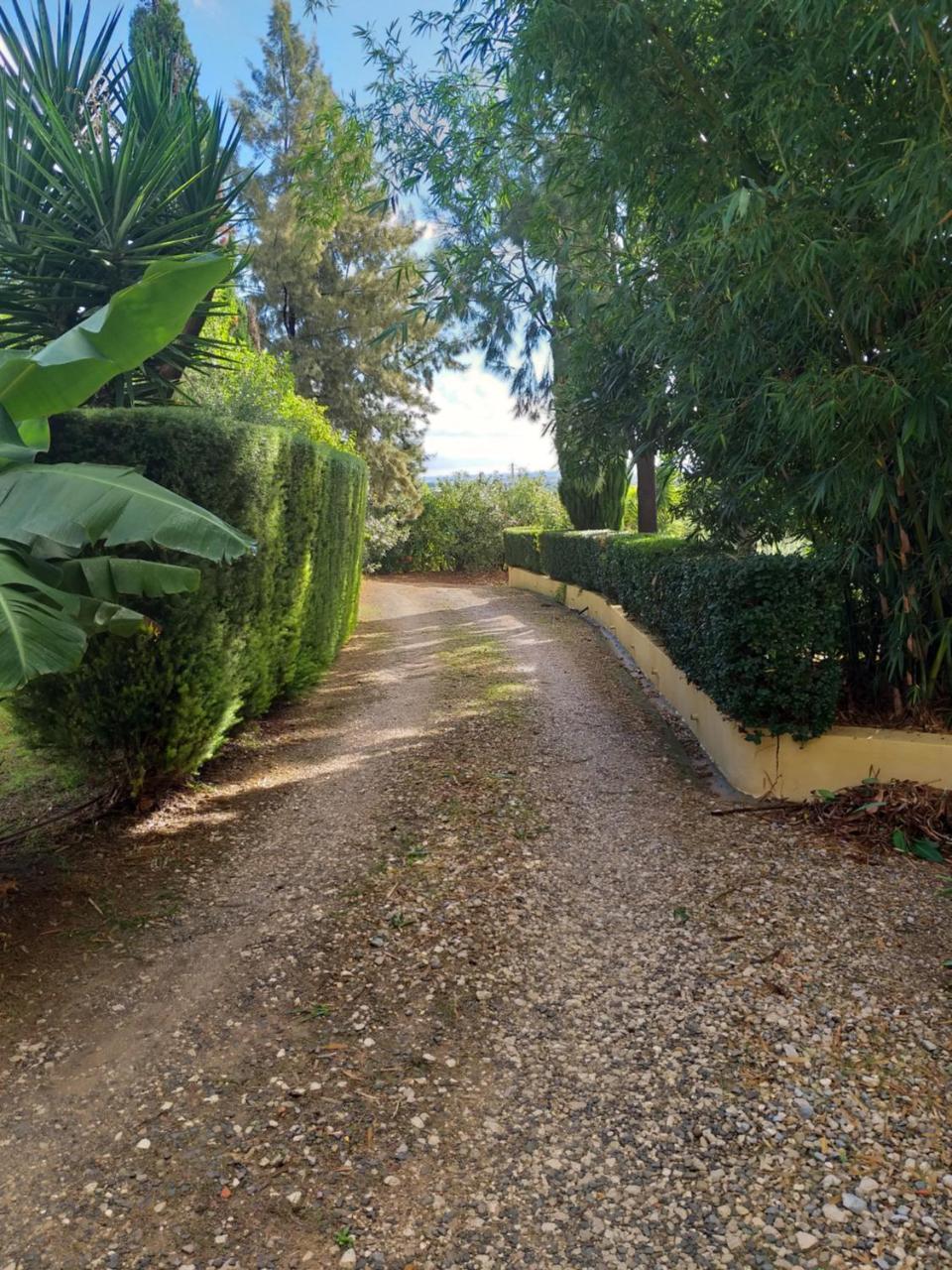 Quinta Da Moura Casa-De-Campo Guest House Тавира Екстериор снимка